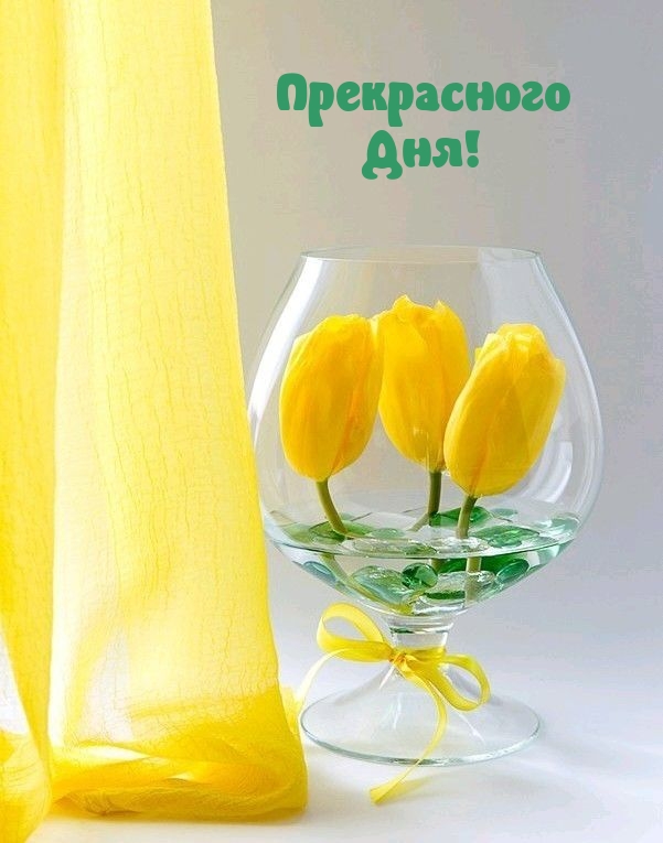 Прекрасного Дня!