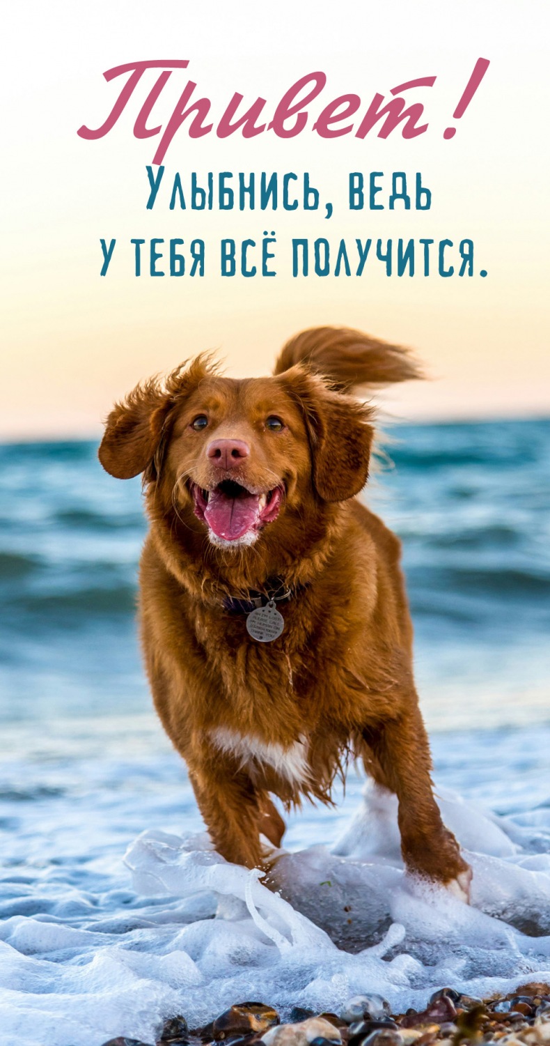 Улыбнись, ведь у тебя всё получится.
