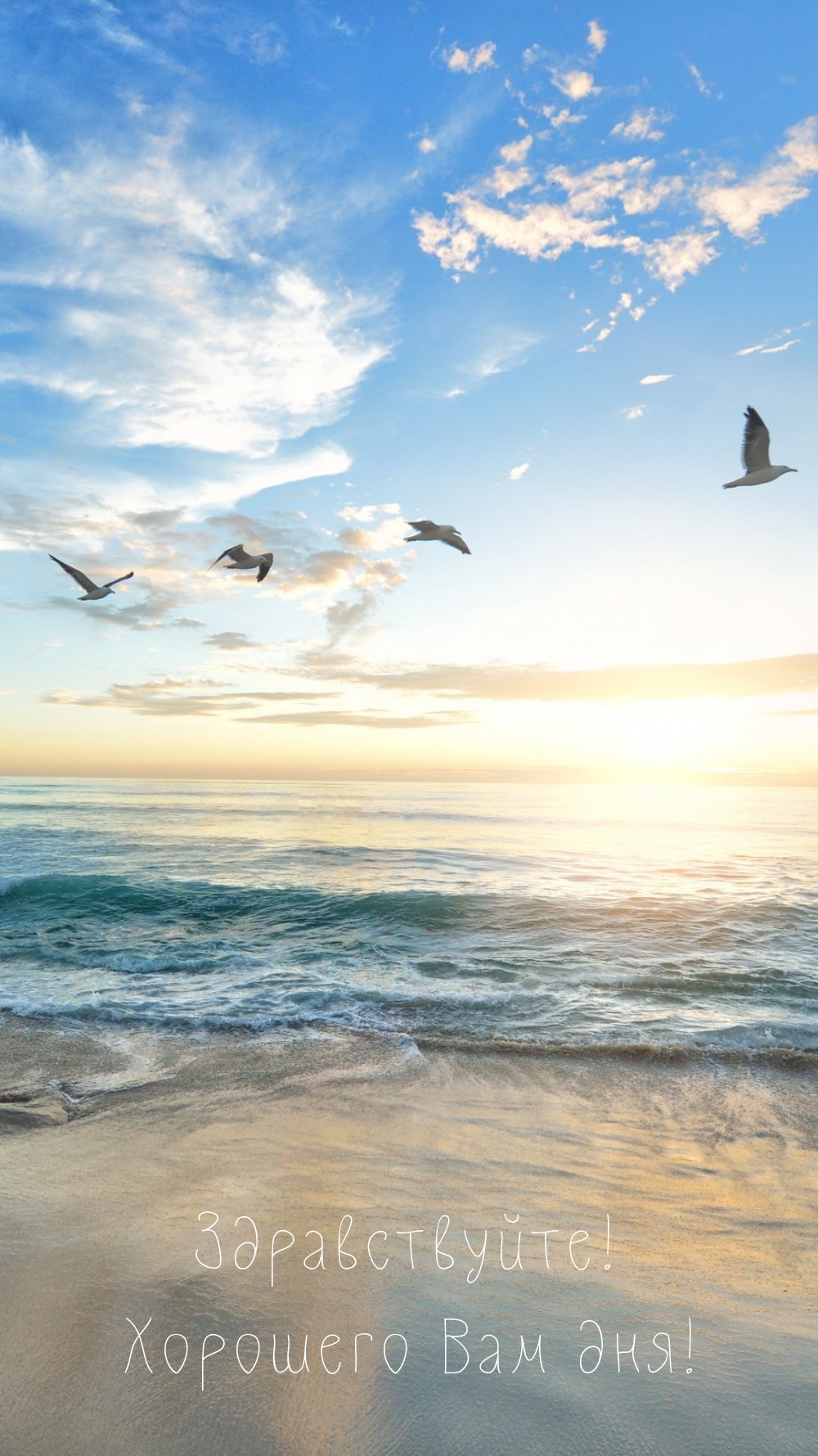 Здравствуйте! Хорошего Вам дня!