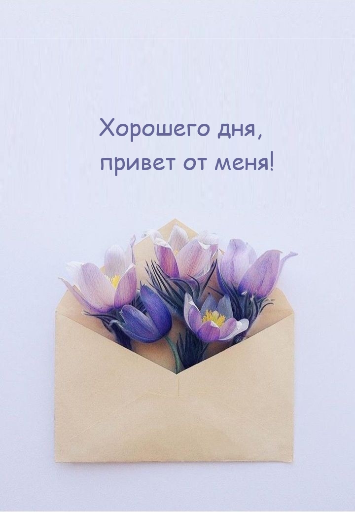 Хорошего дня, привет от меня!
