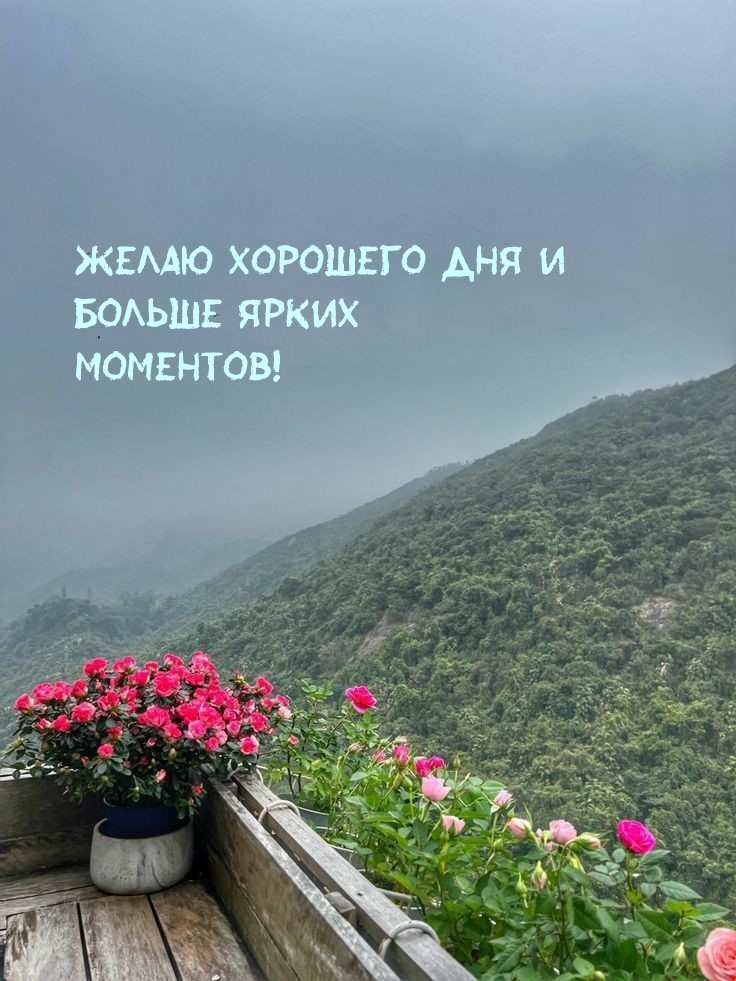 Желаю хорошего дня и больше ярких моментов!