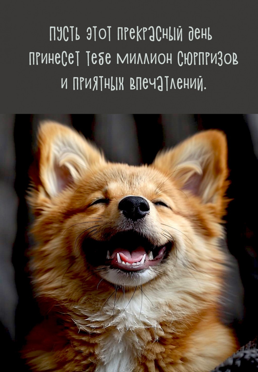 Пусть этот прекрасный день принесет миллион сюрпризов 