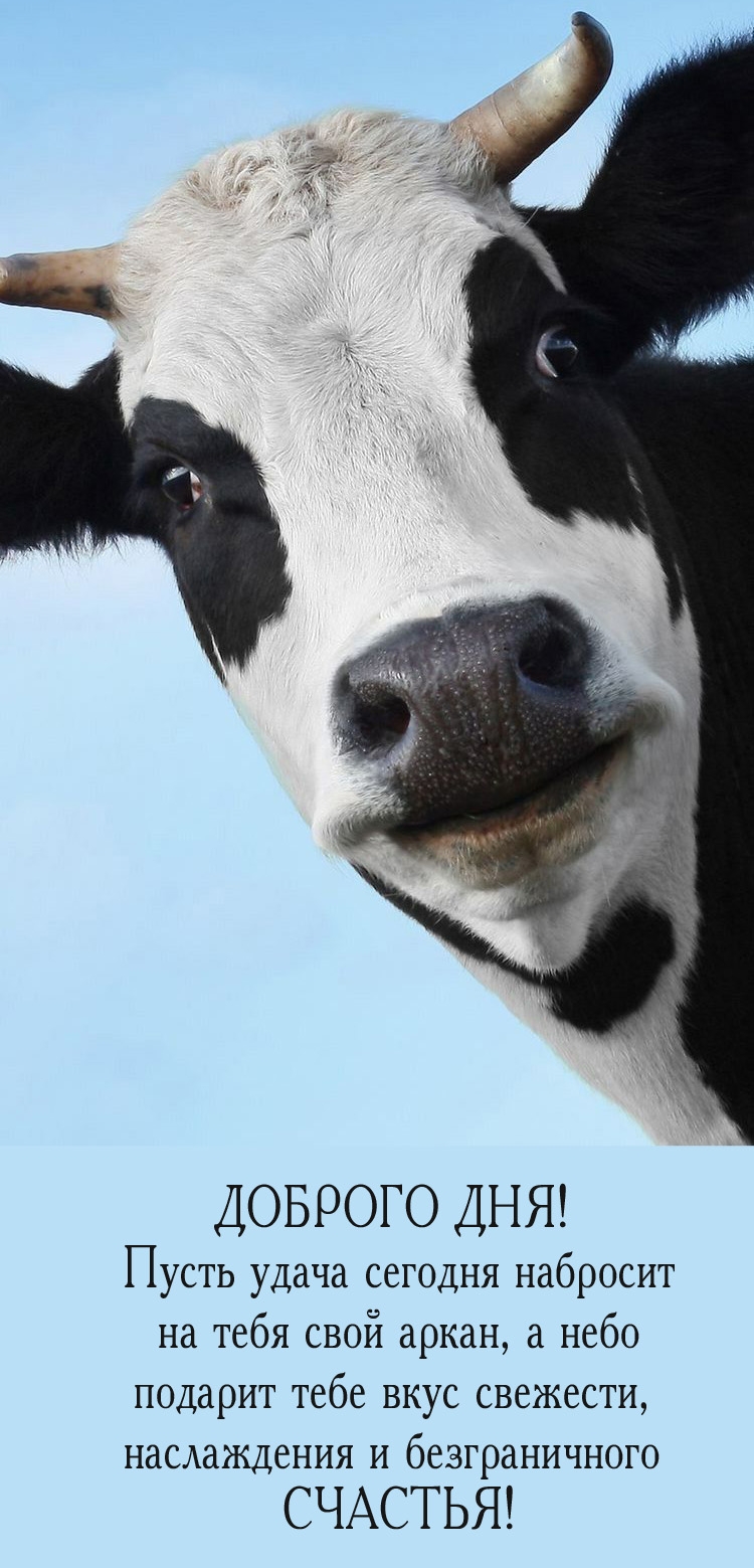 Доброго дня! Пусть удача сегодня набросит на тебя свой аркан