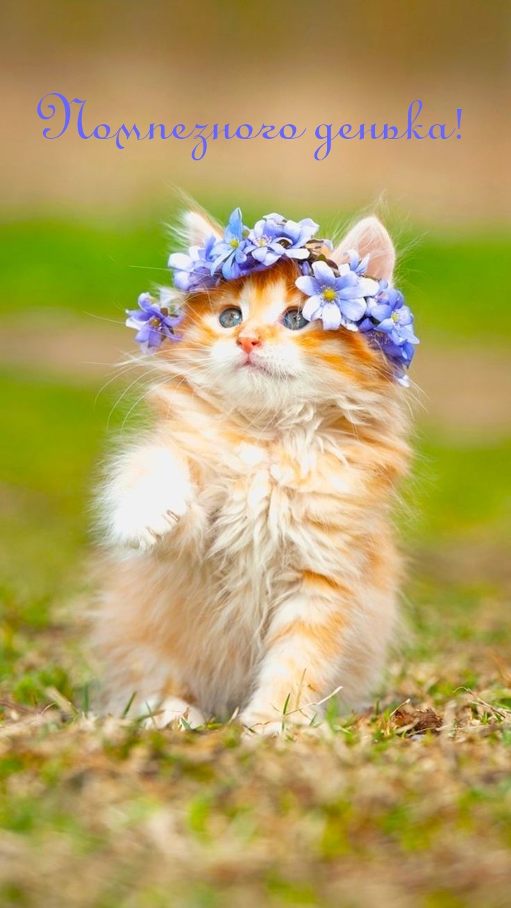 Помпезного денька!