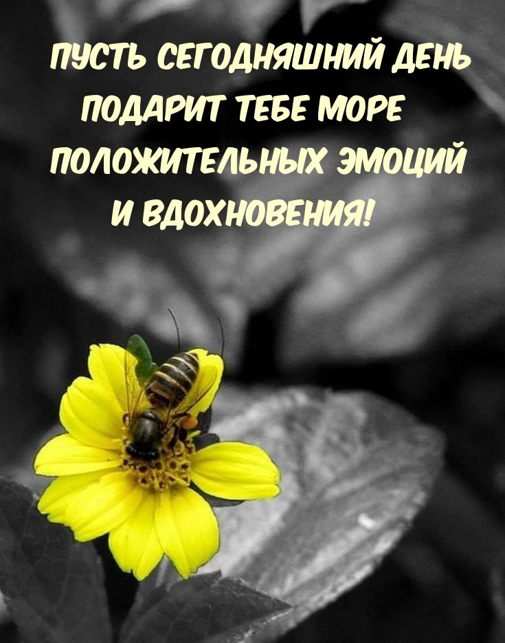 Положительных эмоций и вдохновения!