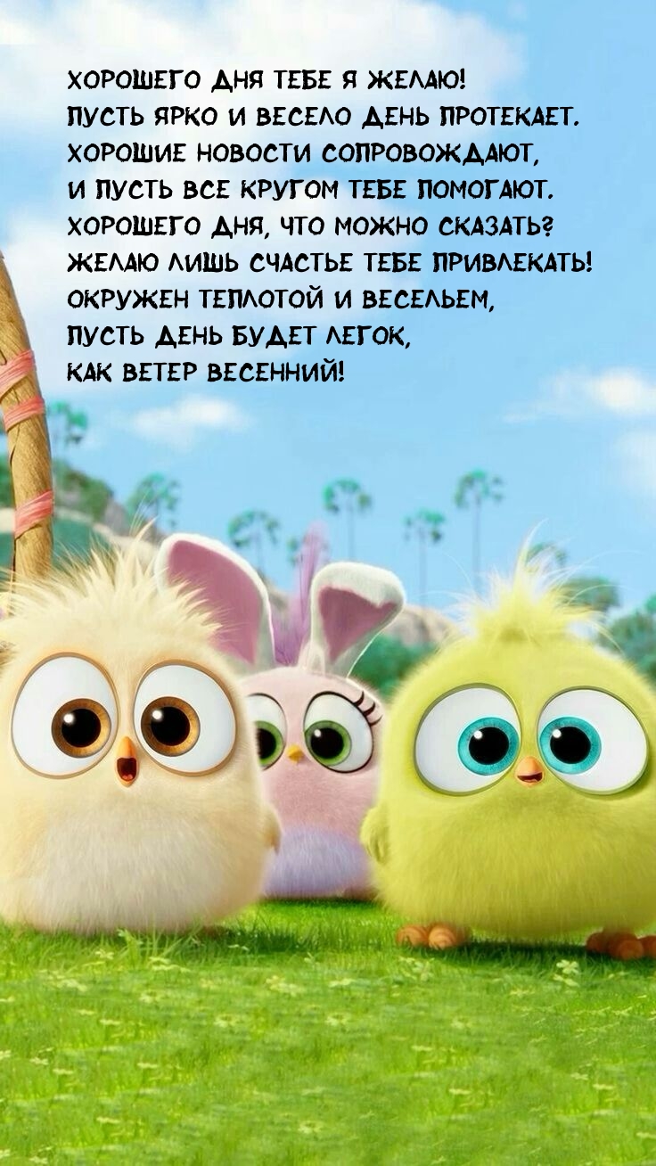 Хорошего дня тебе я желаю! Пусть ярко и весело день протекает.