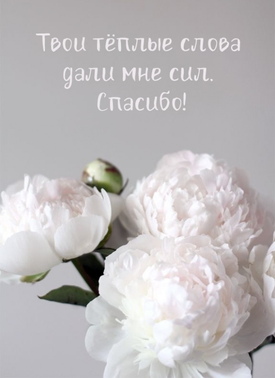 Твои тёплые слова дали мне сил.