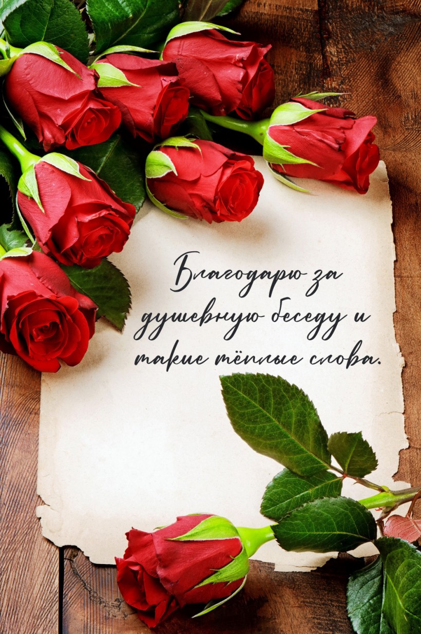 Благодарю за душевную беседу