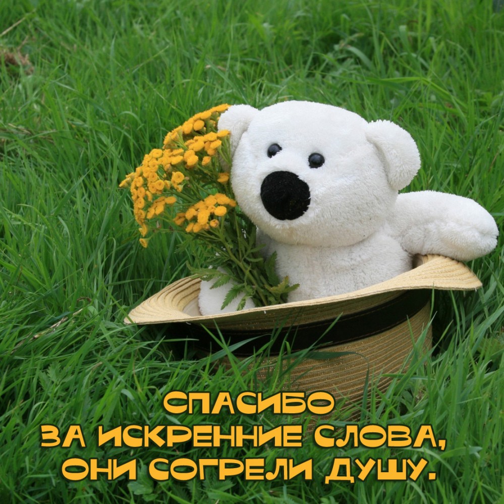 Спасибо за искренние слова