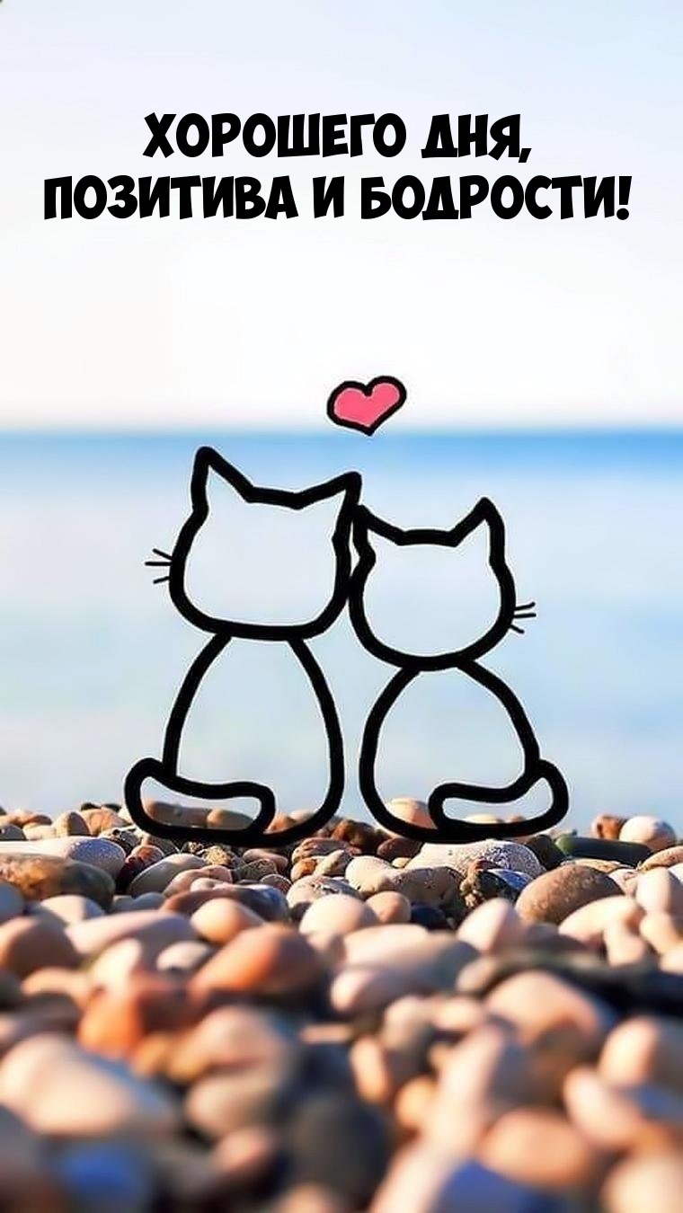 Хорошего дня, позитива и бодрости!