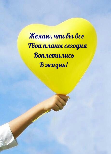 Желаю, чтобы все планы сегодня воплотились в жизнь!