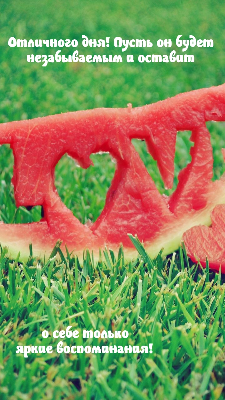 Отличного дня! Пусть он будет незабываемым