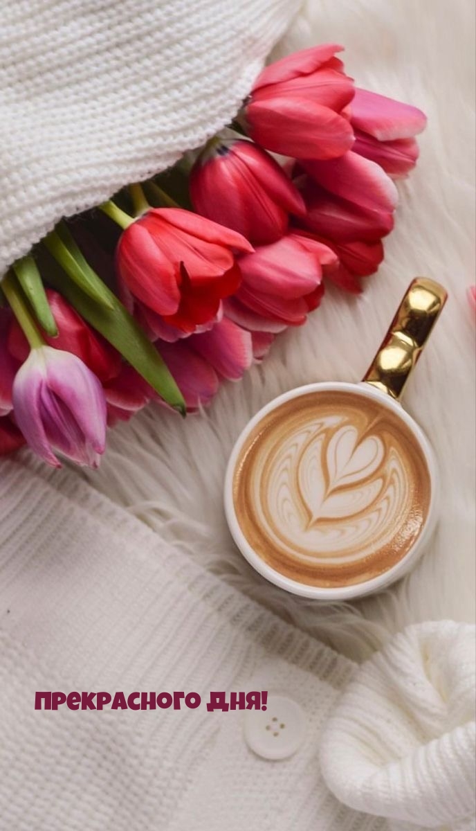 Прекрасного дня!