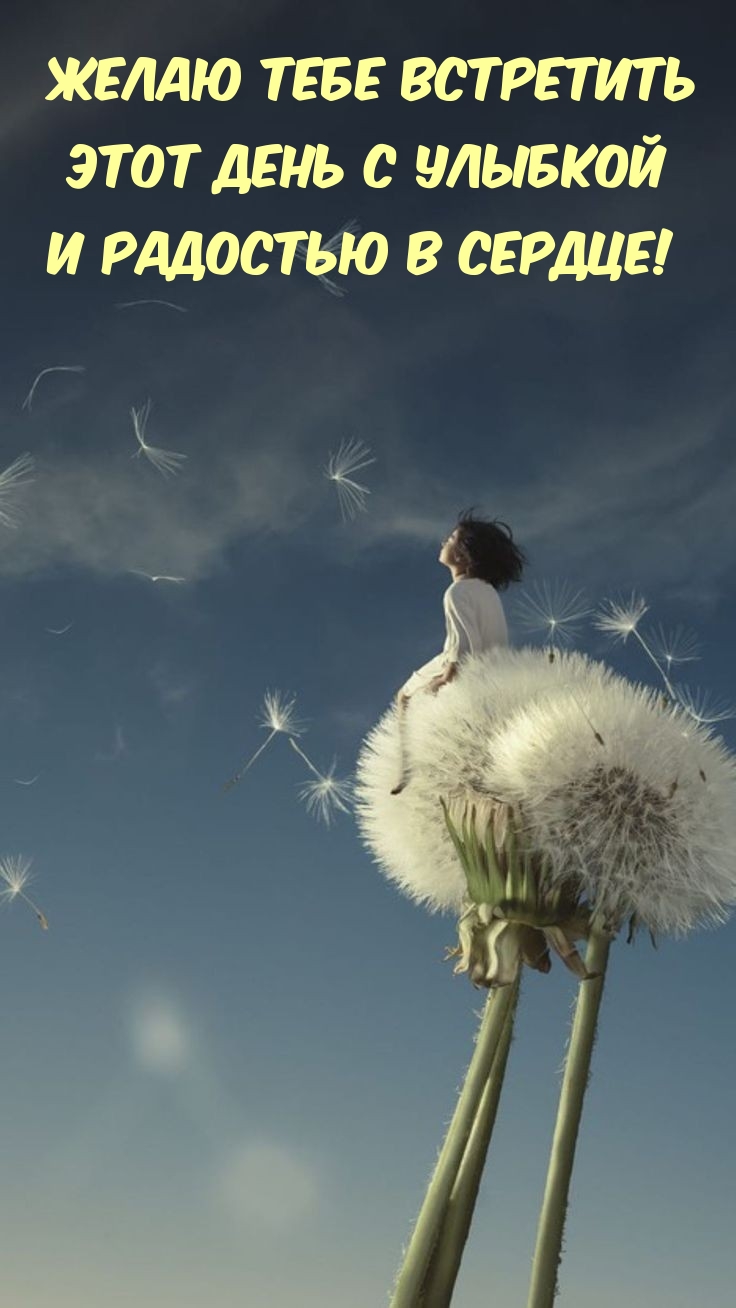 Желаю тебе встретить этот день с улыбкой и радостью в сердце!
