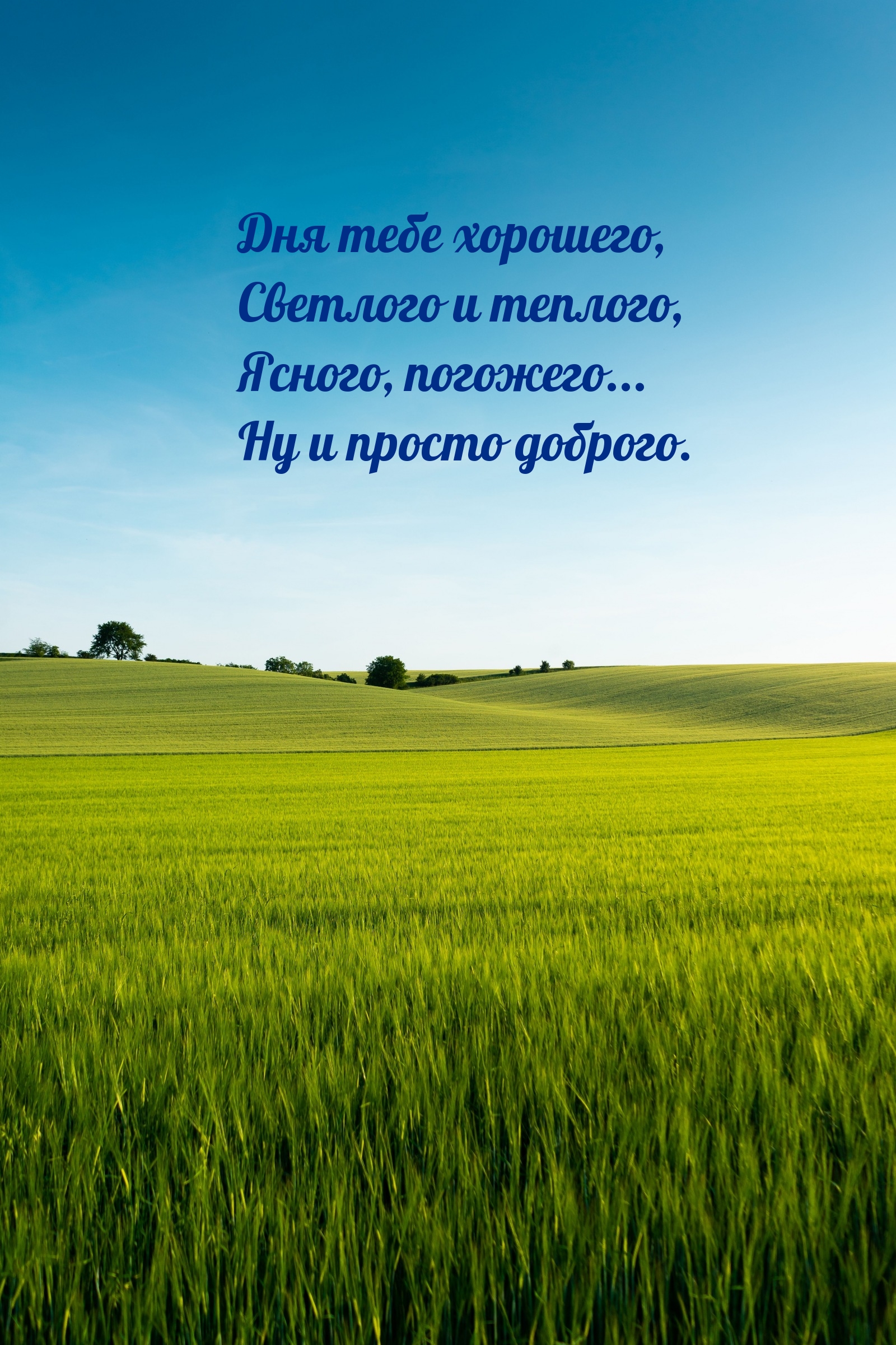 Дня тебе хорошего, светлого и теплого, ясного, погожего...