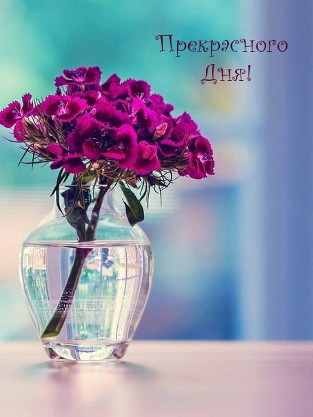 Прекрасного Дня!