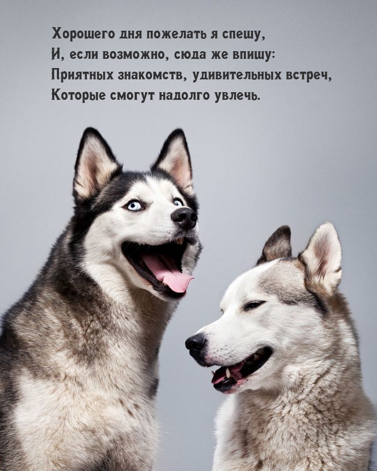 Хорошего дня пожелать я спешу, и, если возможно, сюда же впишу