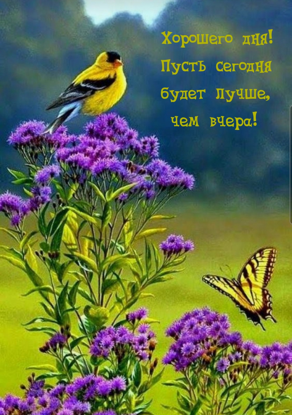 Хорошего дня! Пусть сегодня  будет лучше, чем вчера!