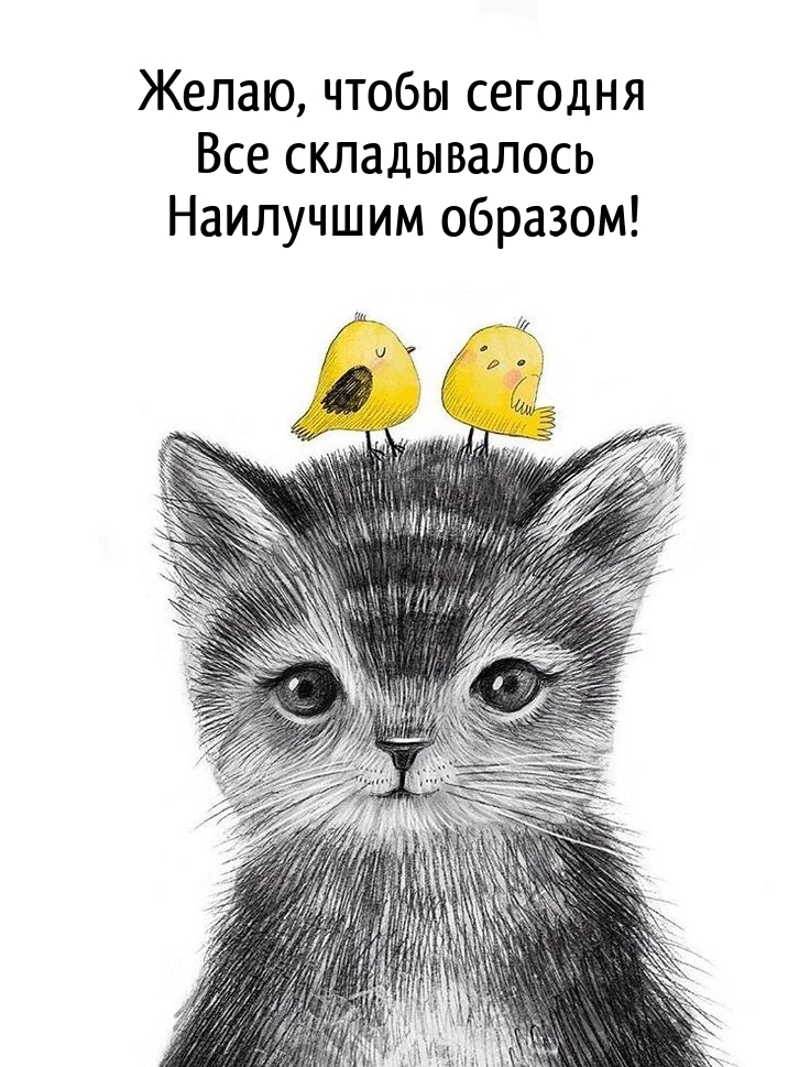 Желаю, чтобы сегодня все складывалось наилучшим образом!