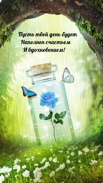 Пусть твой день будет наполнен счастьем и вдохновением!