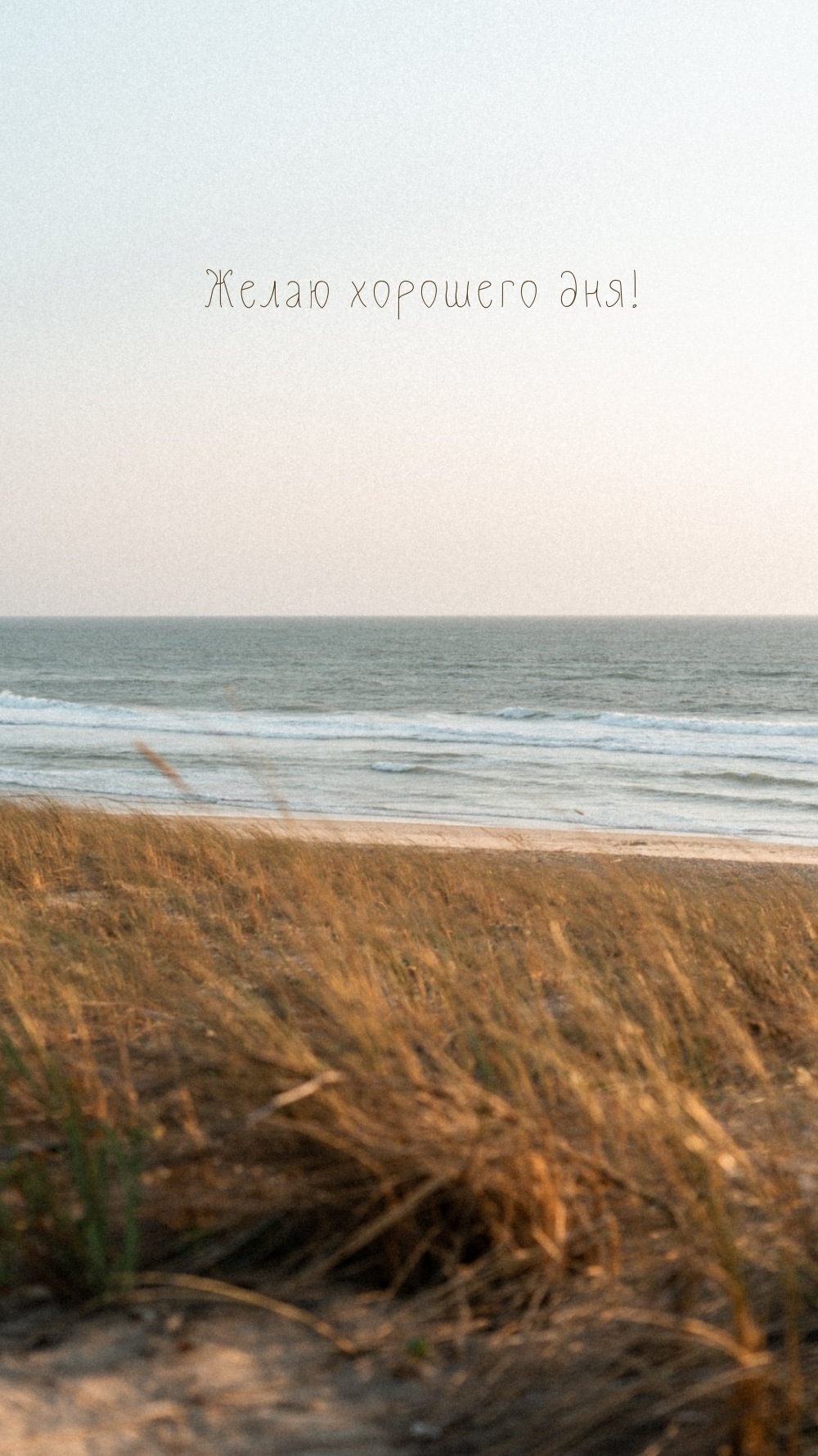 Желаю хорошего дня!