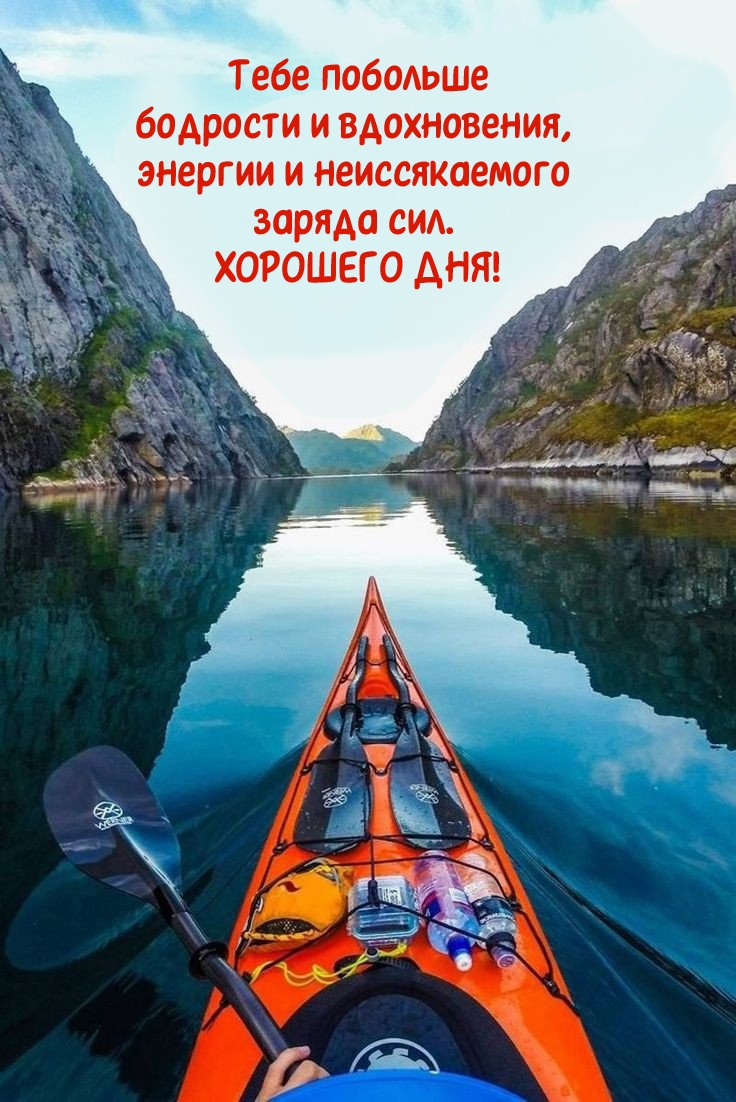 Тебе побольше бодрости и вдохновения Хорошего дня!