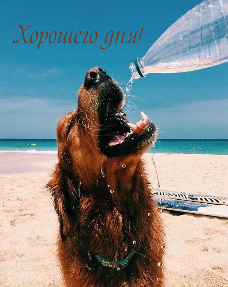 Хорошего дня!