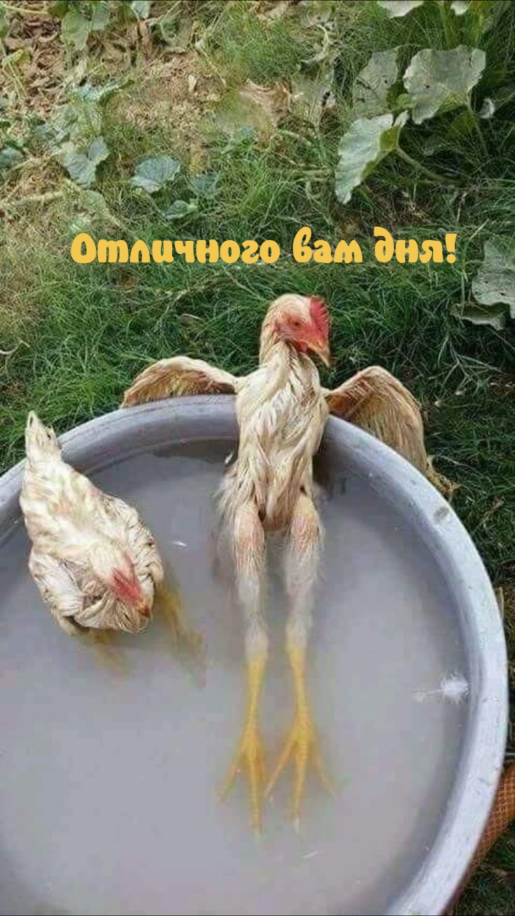 Отличного вам дня!