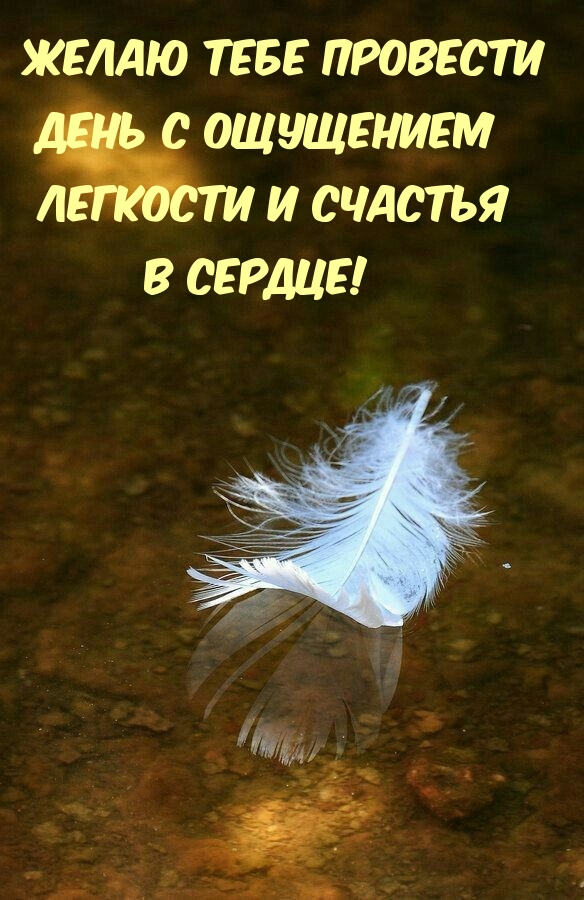 Желаю провести день с ощущением легкости и счастья в сердце!