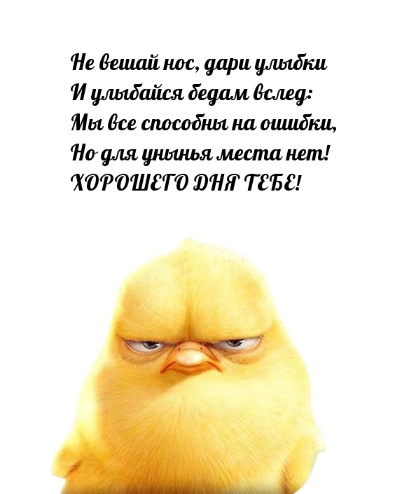 Хорошего дня тебе! Не вешай нос, дари улыбки