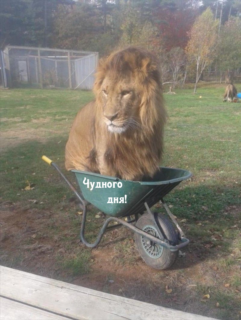 Чудного дня!