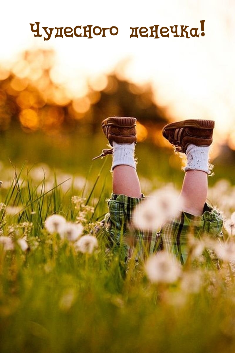 Чудесного денечка!