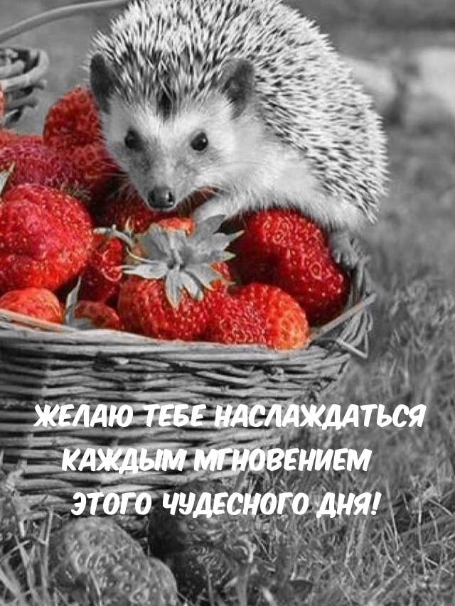 Желаю тебе наслаждаться каждым мгновением этого чудесного дня!