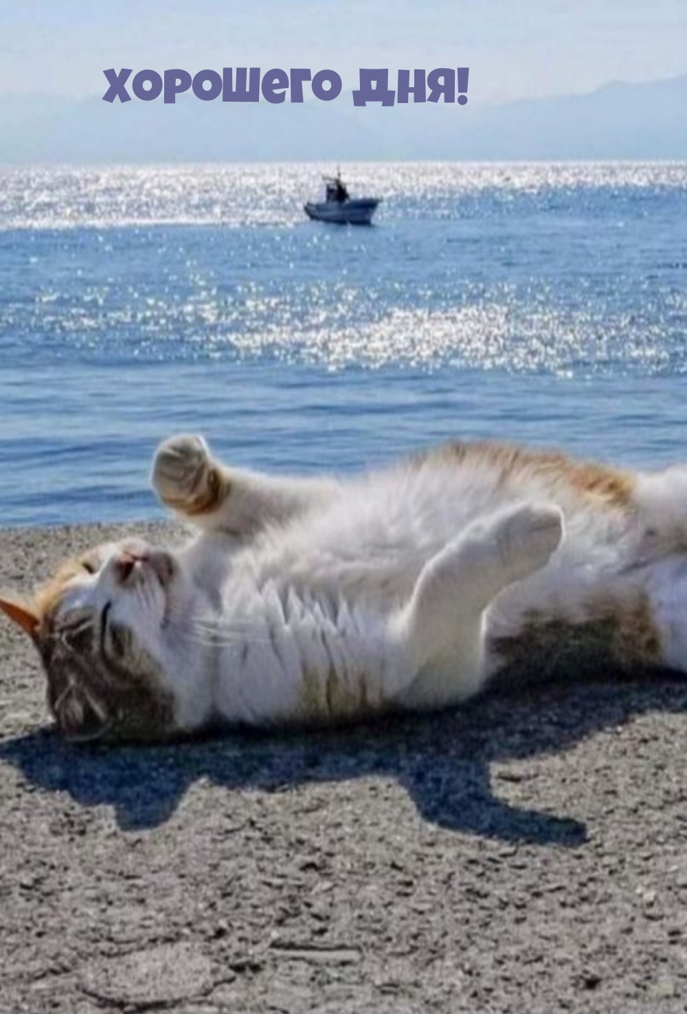 Хорошего дня!