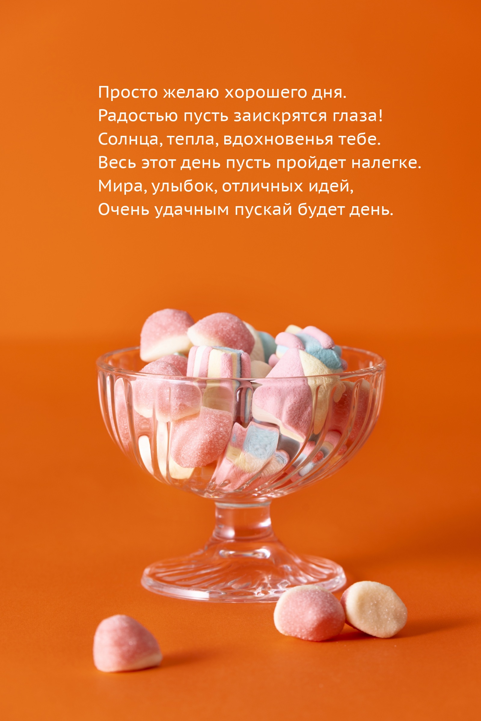 Просто желаю хорошего дня. Радостью пусть заискрятся глаза!