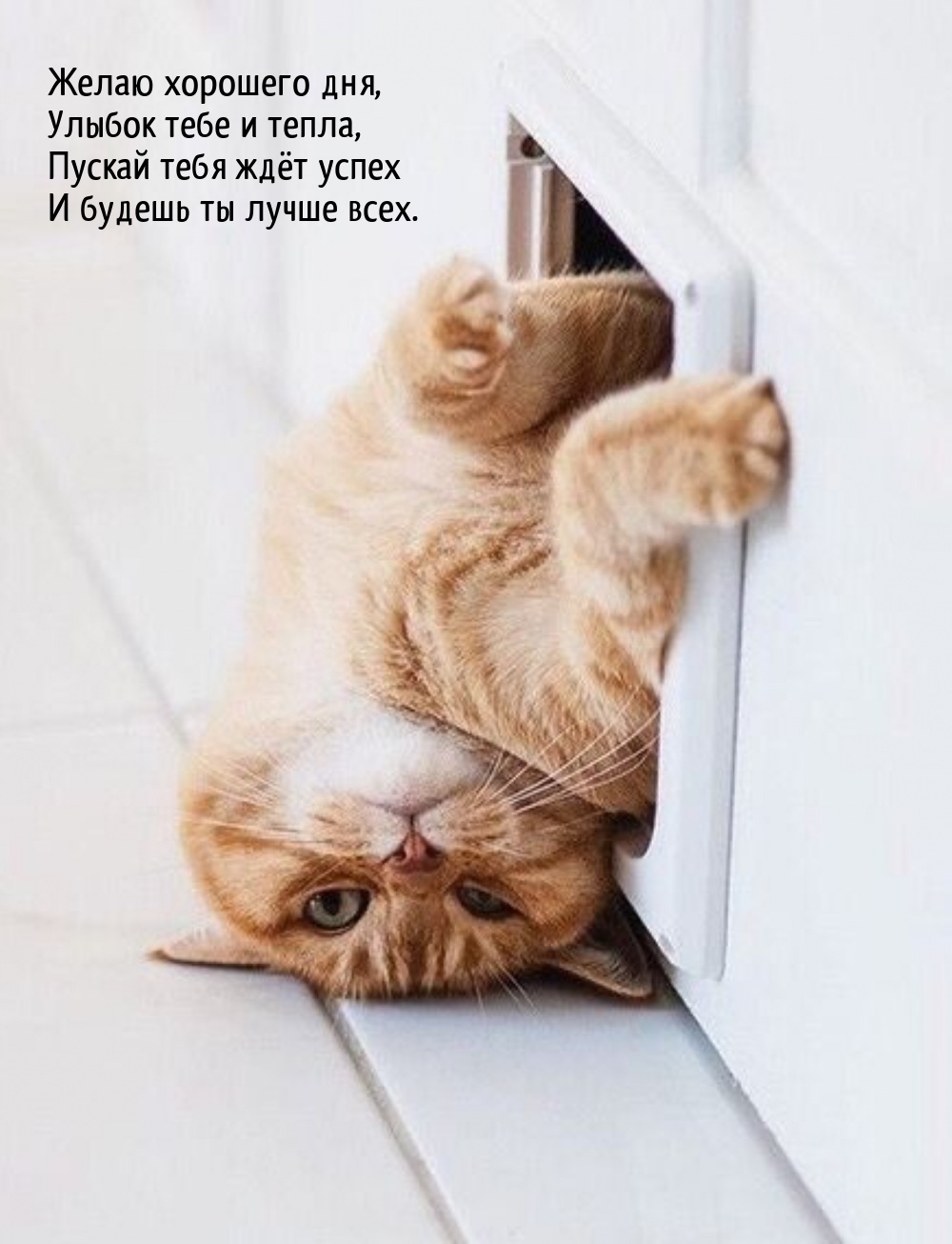 Желаю хорошего дня, улыбок тебе и тепла