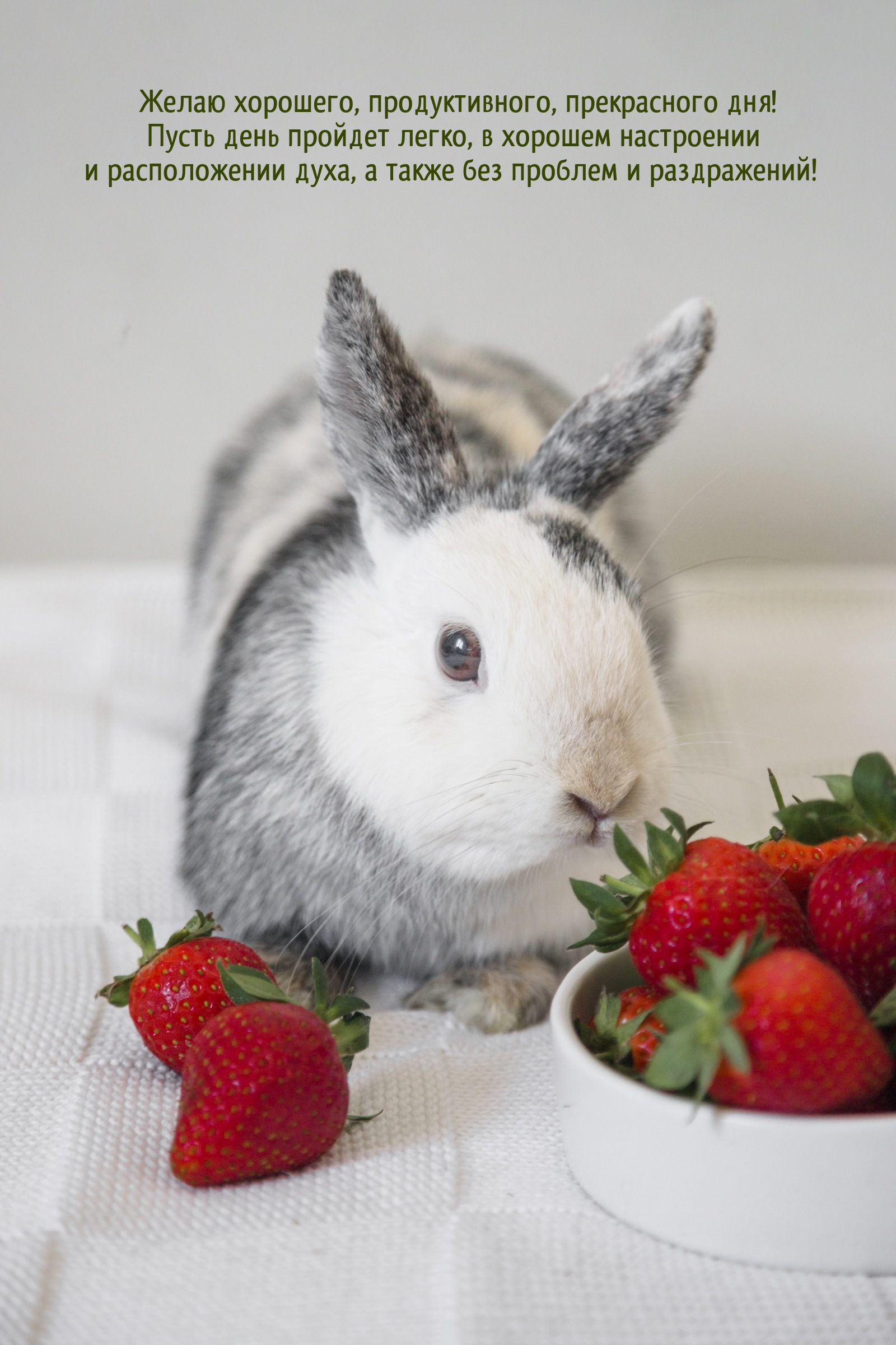 Желаю хорошего, продуктивного, прекрасного дня!