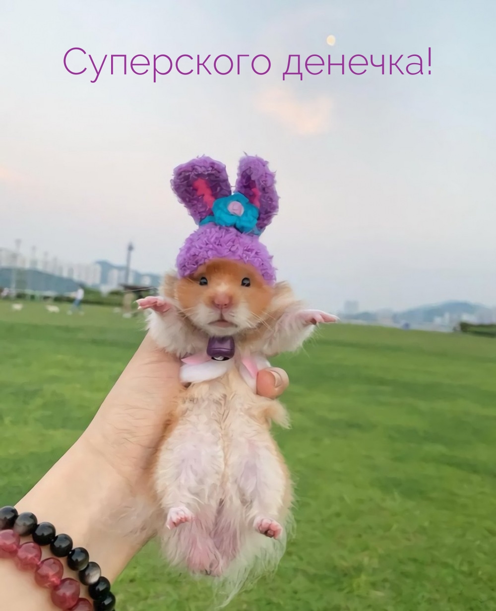Суперского денечка!