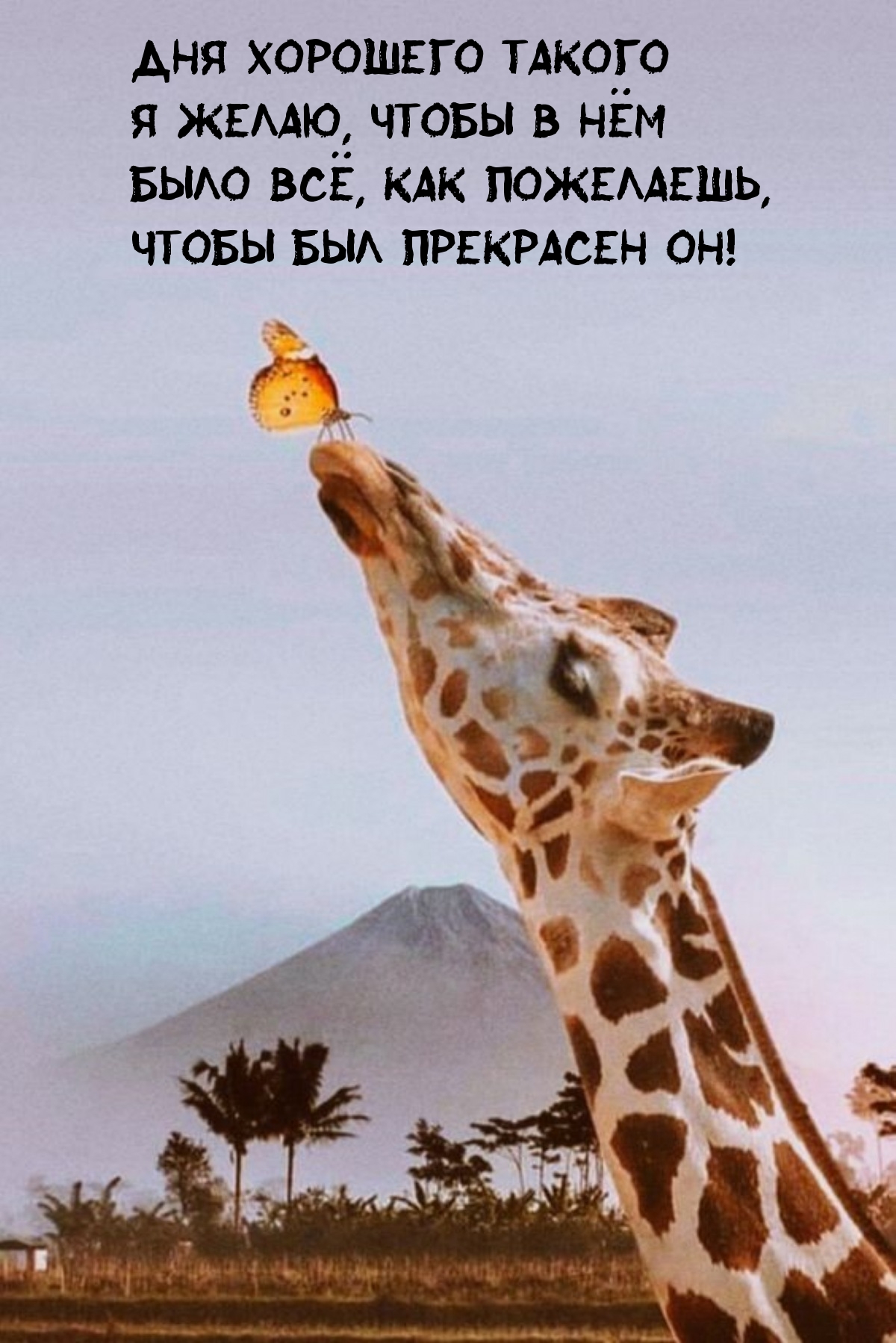 Дня хорошего такого я желаю, чтобы в нём было всё, как пожелаешь