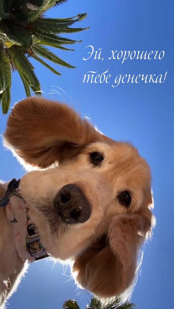 Эй, хорошего тебе денечка!