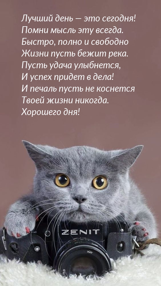 Лучший день — это сегодня! Помни мысль эту всегда.