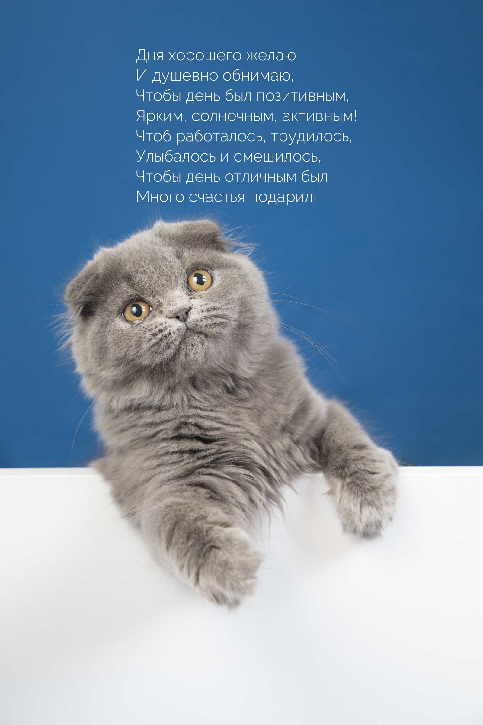 Дня хорошего желаю и душевно обнимаю, чтобы день был позитивным