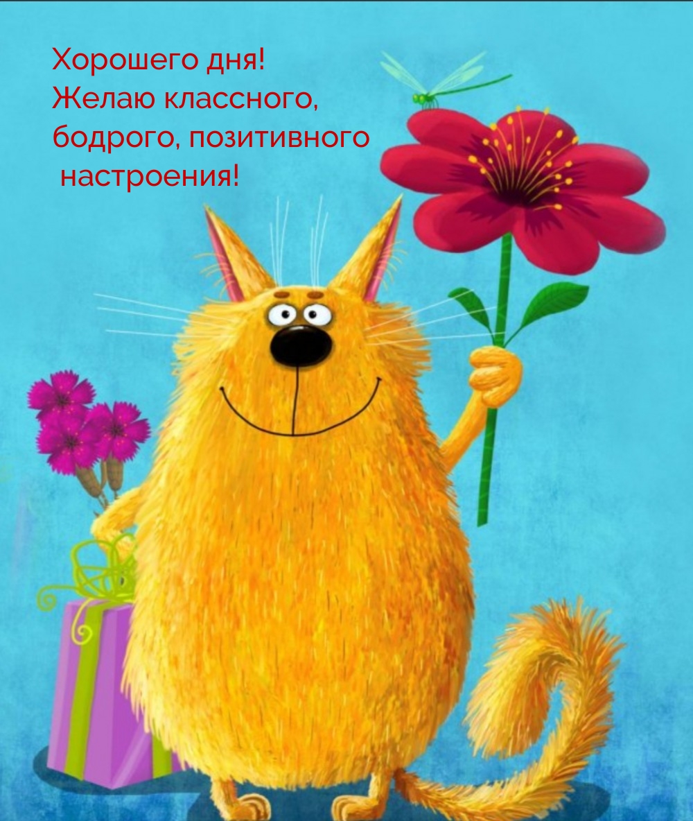 Хорошего дня! Желаю классного, бодрого, позитивного настроения!
