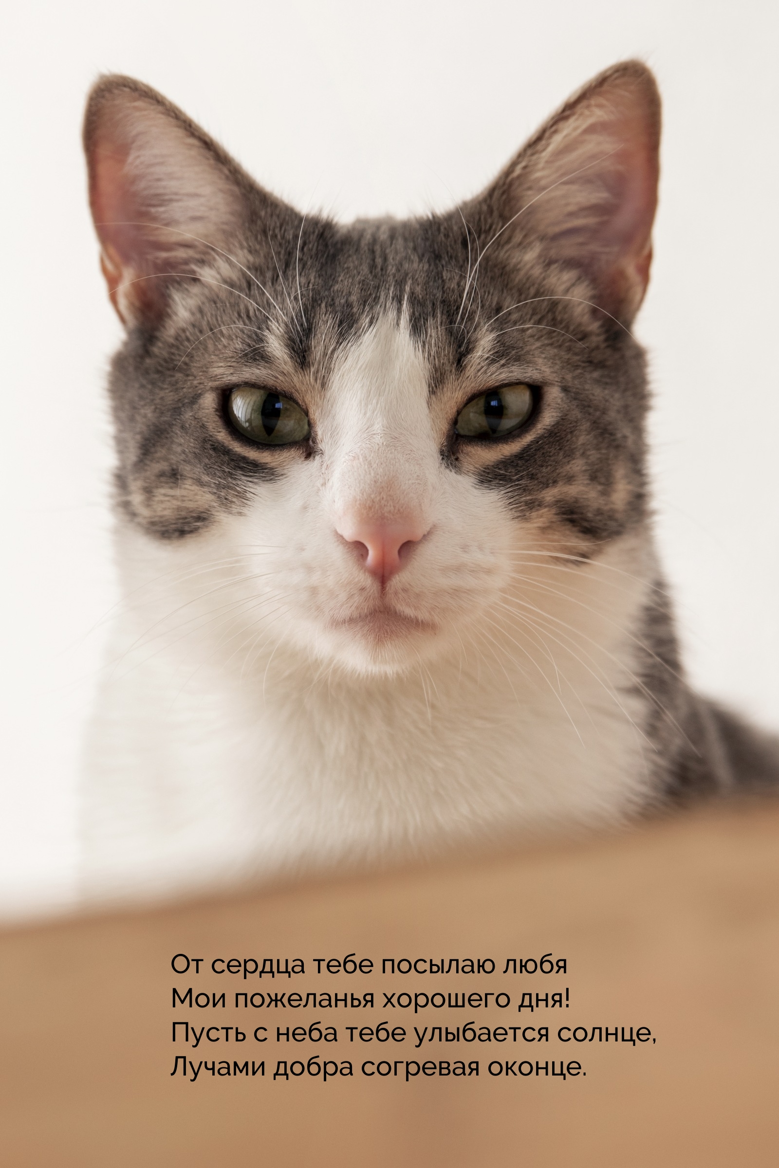 От сердца тебе посылаю любя мои пожеланья хорошего дня!