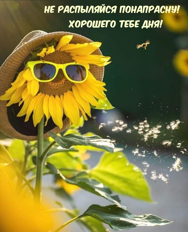 Не распыляйся понапрасну! Хорошего тебе дня!