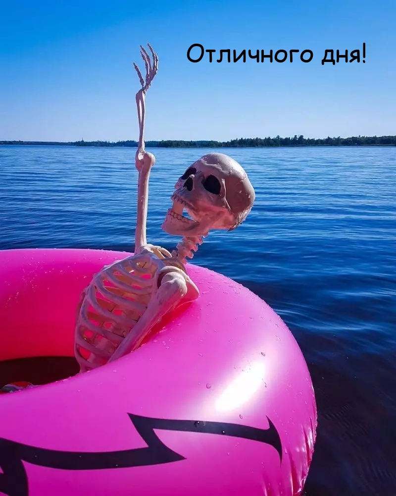 Отличного дня!