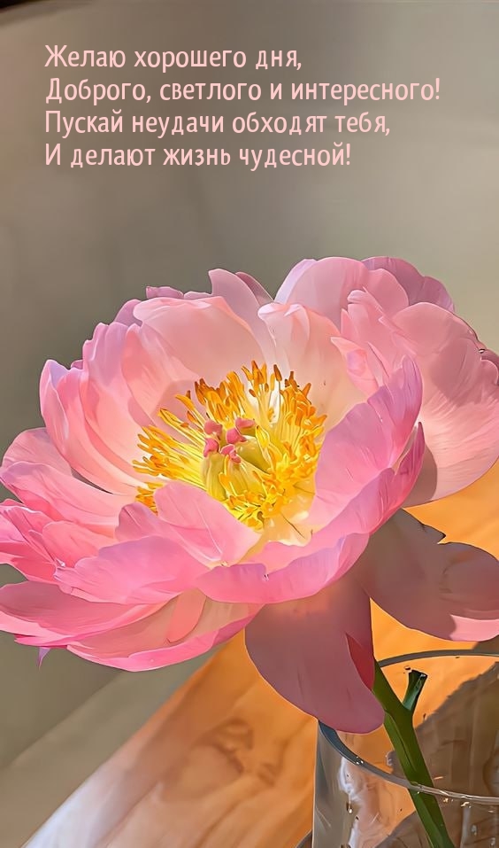 Желаю хорошего дня, доброго, светлого и интересного!
