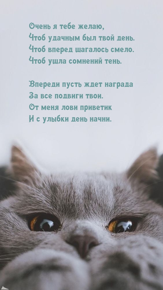 Очень я тебе желаю, чтоб удачным был твой день.