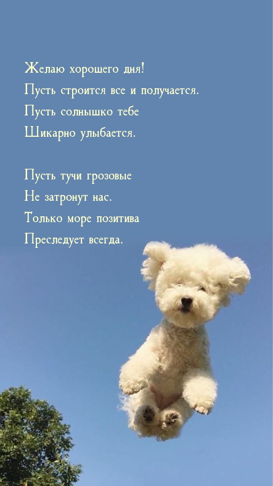 Желаю хорошего дня! Пусть строится все и получается.