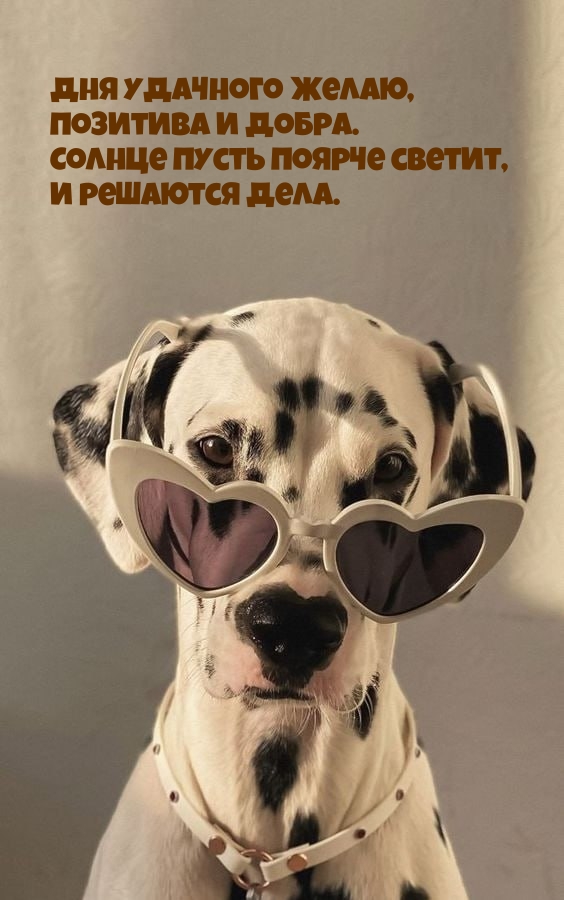Дня удачного желаю, позитива и добра.